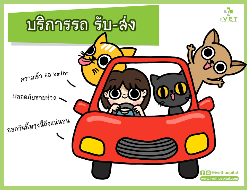 iVET PET TAXI